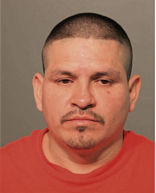 ANDRES DELGADO, Cook County, Illinois