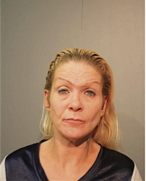 LEANN FINI, Cook County, Illinois