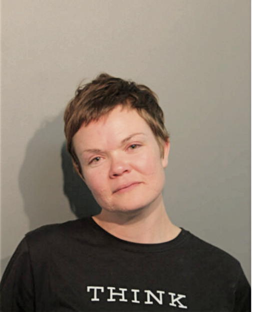 BREE D FOX, Cook County, Illinois