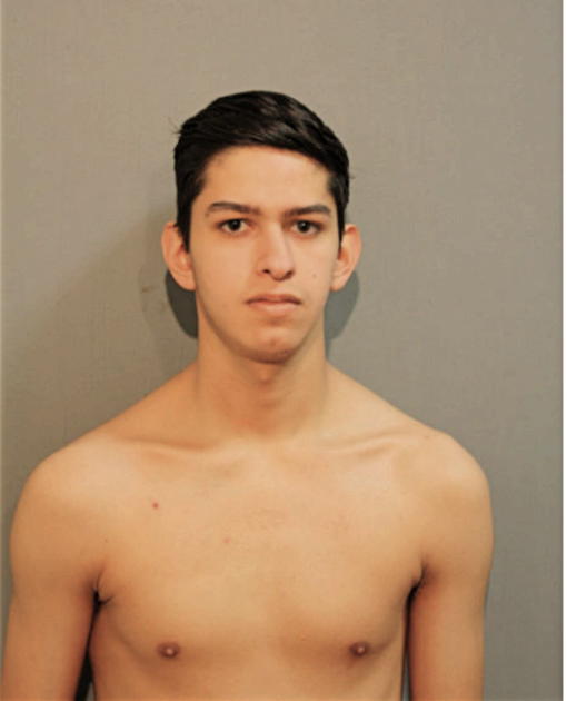 EDGARDO ALEXANDER GUIDO, Cook County, Illinois