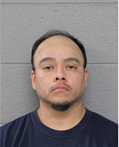 MIGUEL A GUZMAN, Cook County, Illinois