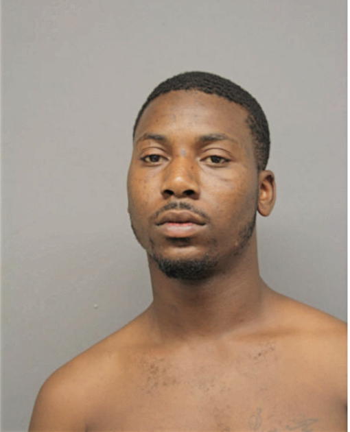 DEANDRE D HAYNES, Cook County, Illinois