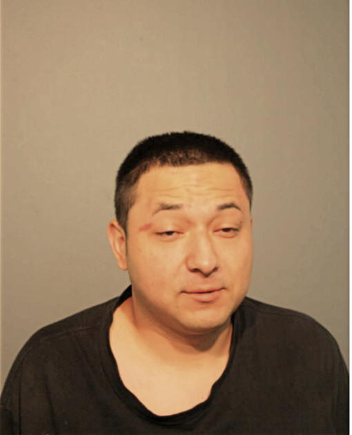 CARLOS J HERNANADEZ-RUIZ, Cook County, Illinois