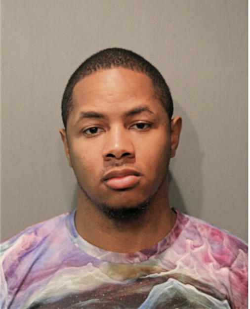 DAVID A HOLBERT, Cook County, Illinois