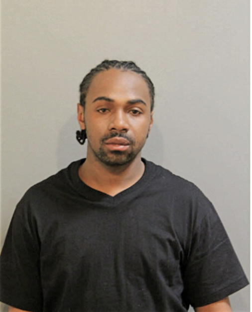 MICHAEL D HOLTON, Cook County, Illinois