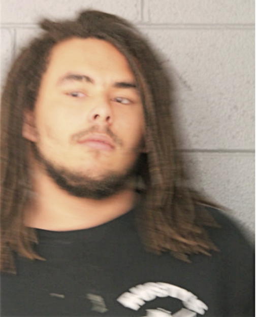 ANTONIO D HONAKER, Cook County, Illinois