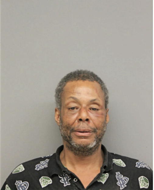 JAMES E LANE, Cook County, Illinois