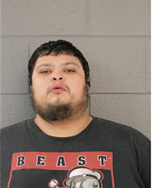 JUAN M LOZANO, Cook County, Illinois