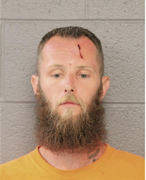 CHRISTOPHER C MALIK, Cook County, Illinois