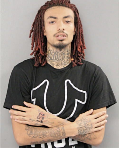 MICHAEL M MILLER, Cook County, Illinois