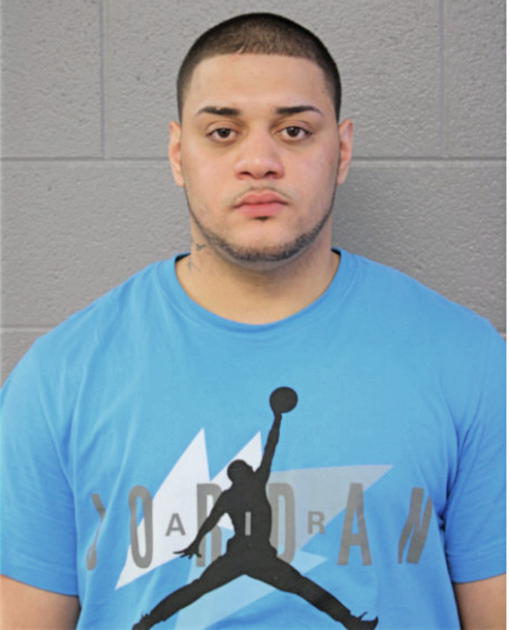 NICOLAS D ORTIZ, Cook County, Illinois