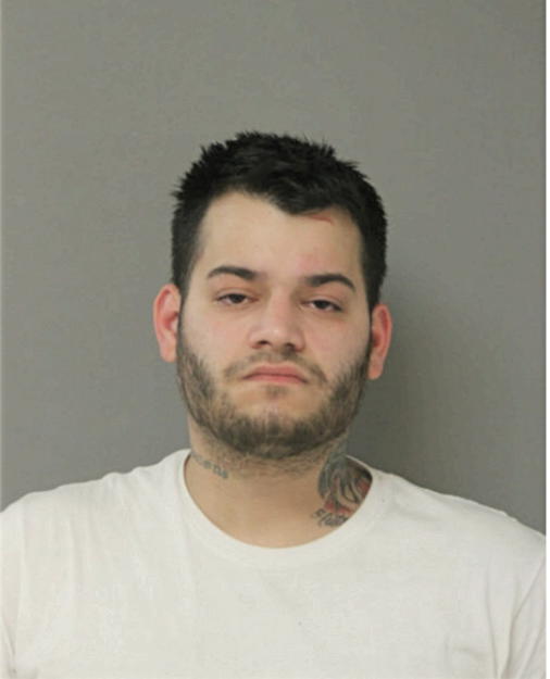 JESSE R SANCHEZ, Cook County, Illinois