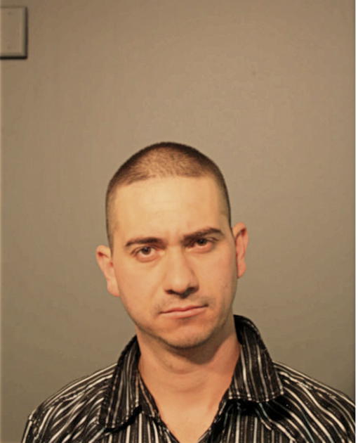 NELSON SOLIZ VIDAL, Cook County, Illinois