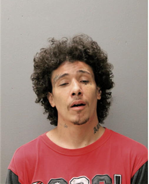 BRIAN D WARD, Cook County, Illinois