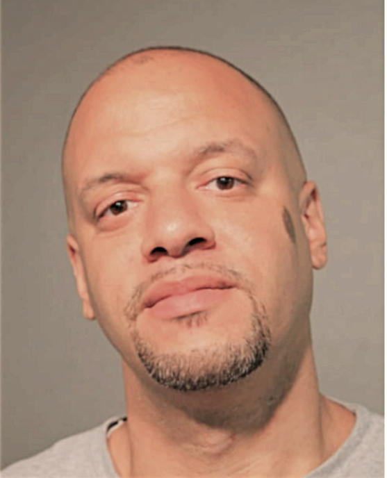 DAVID E ADAMS, Cook County, Illinois