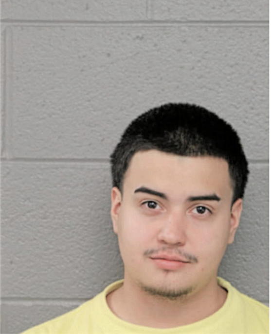 JESUS C ALANIS, Cook County, Illinois