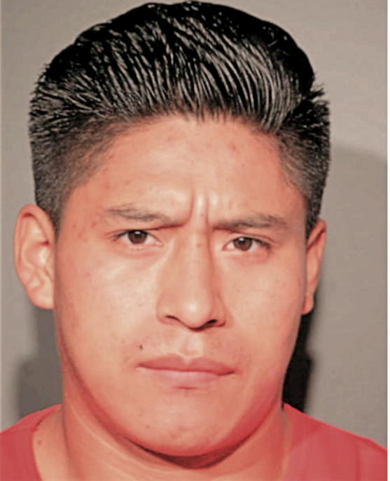 ANSELMO ARELLENO ALVARADO, Cook County, Illinois