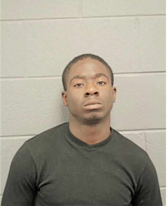 MICHAEL M AUSTIN, Cook County, Illinois