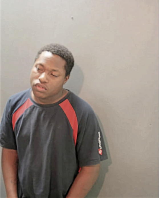 ROGER RASHUN DAVIDSON, Cook County, Illinois