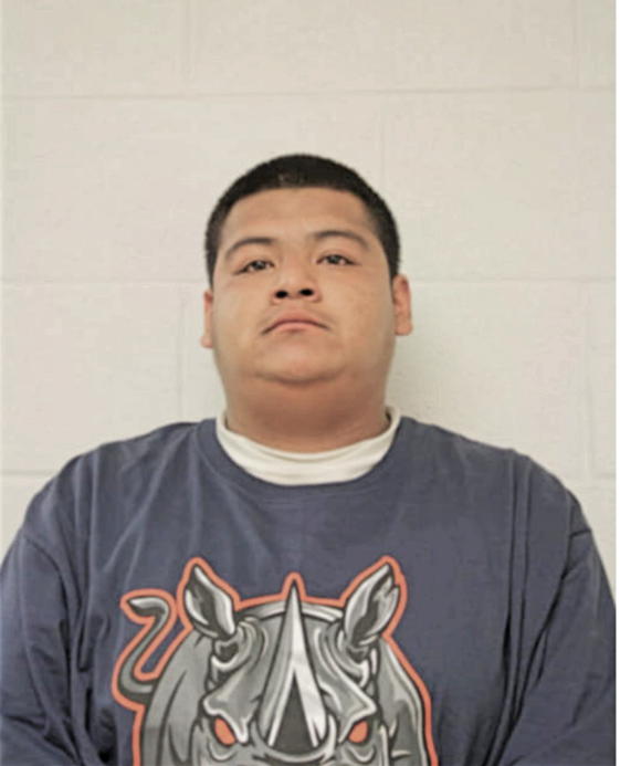 JONATHAN FLORES, Cook County, Illinois