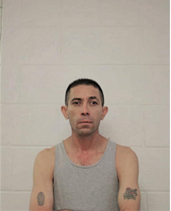 LUIS L GONZALEZ, Cook County, Illinois