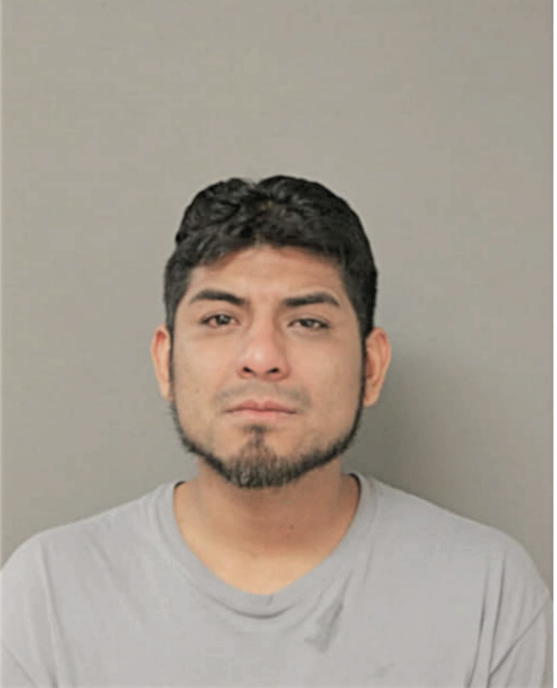 LUIS A HERRERA, Cook County, Illinois