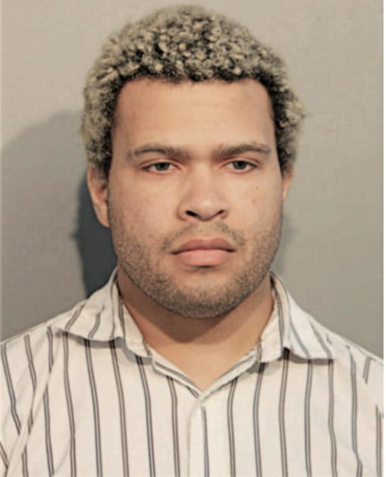 JUSTIN A JOHNSON, Cook County, Illinois