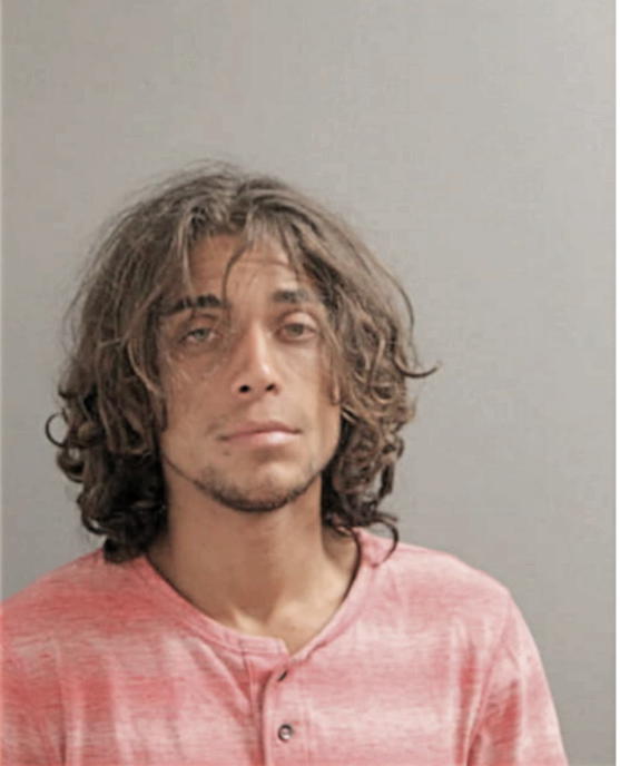 JESUS J MENDEZ, Cook County, Illinois