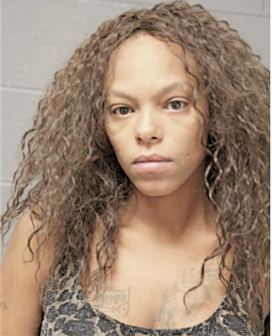 TIESIHIA M MITCHELL, Cook County, Illinois