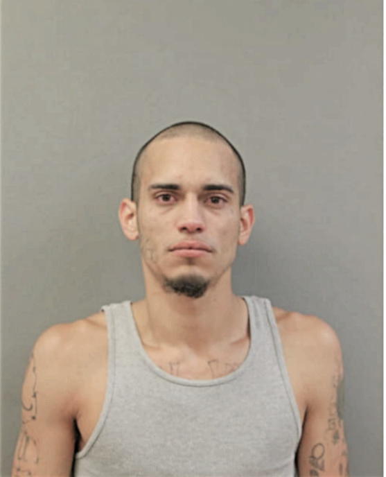 DANIEL J MONTALVO, Cook County, Illinois