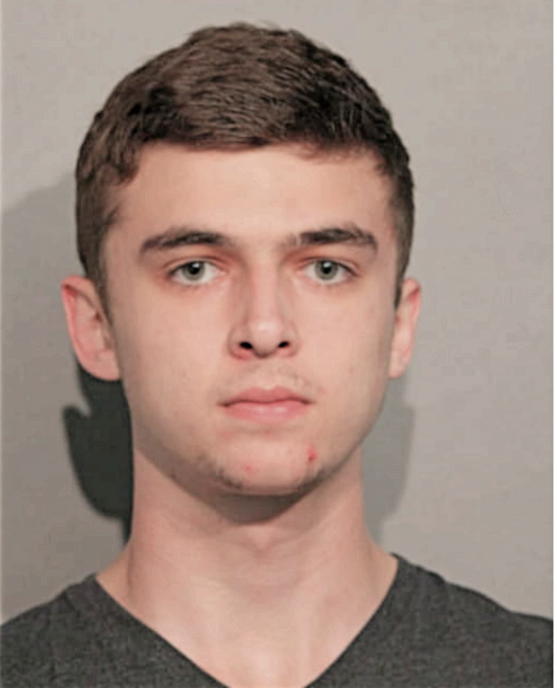 MICHAEL T MYSLINSKI, Cook County, Illinois