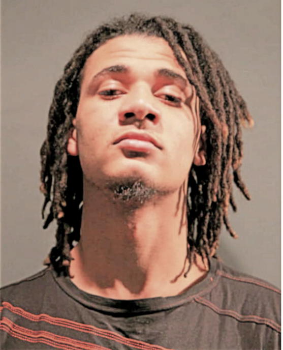 JOSEPH D PAGE, Cook County, Illinois