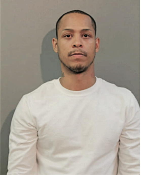 LUIS A ROMAN, Cook County, Illinois