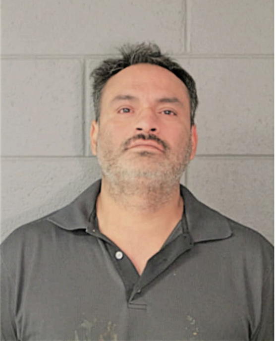 JUAN C SANCHEZ, Cook County, Illinois