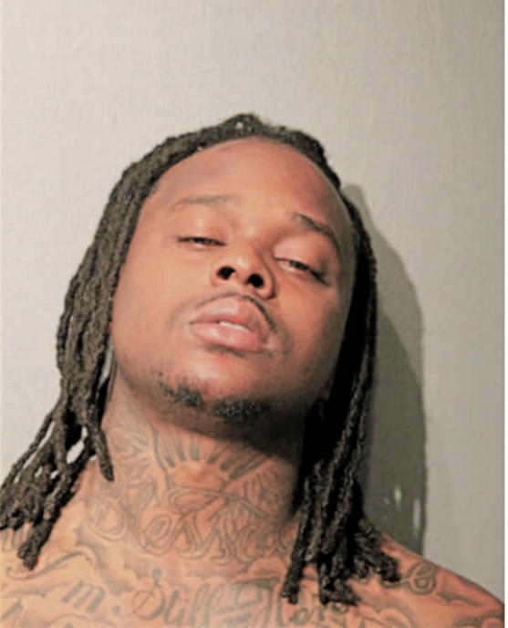 ALLEN L SCOTT, Cook County, Illinois