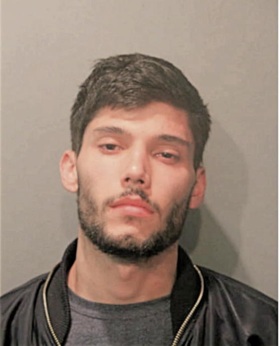 JACOB J SEIBER, Cook County, Illinois