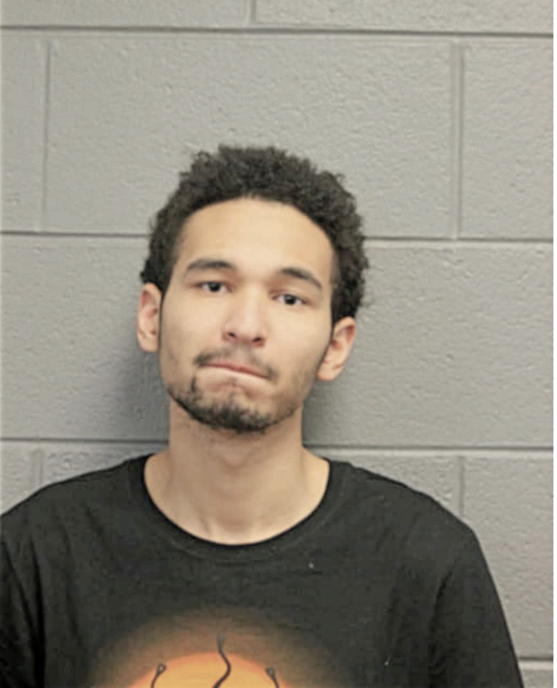 YVES D WATSON, Cook County, Illinois