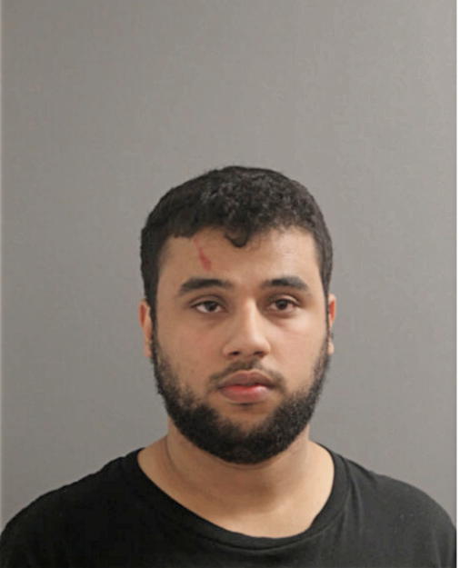 RAMY A ALHAMYARI, Cook County, Illinois