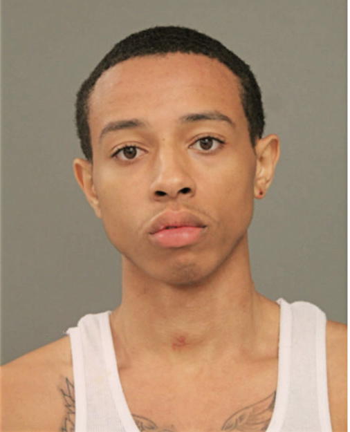 ANTHONY T ANDERSON, Cook County, Illinois