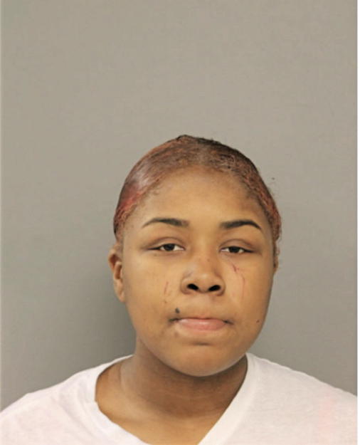 ROBYN T ANDERSON, Cook County, Illinois
