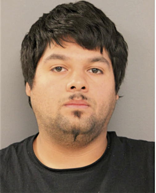 HERNAN ERIC BARRON, Cook County, Illinois