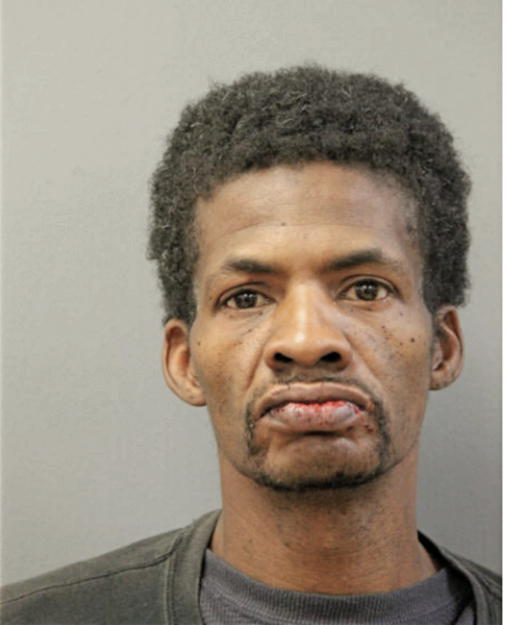 VINCENT BRIDGES, Cook County, Illinois