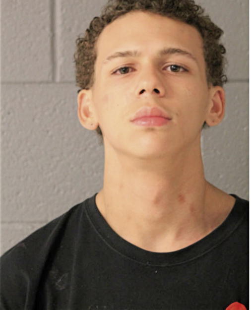 TRENT BROWN, Cook County, Illinois