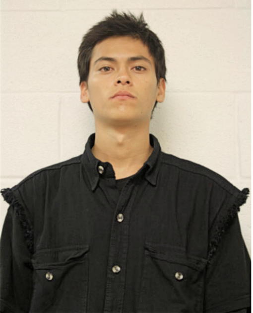 CARLOS E CALIX, Cook County, Illinois