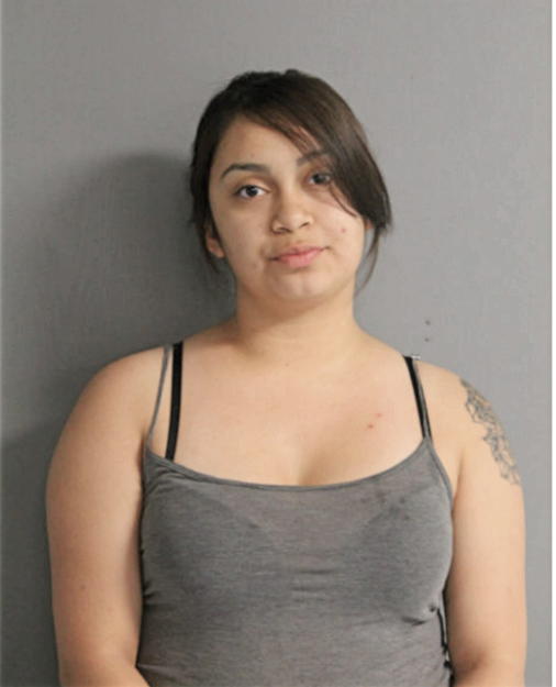 MARISABEL L CORRAL, Cook County, Illinois