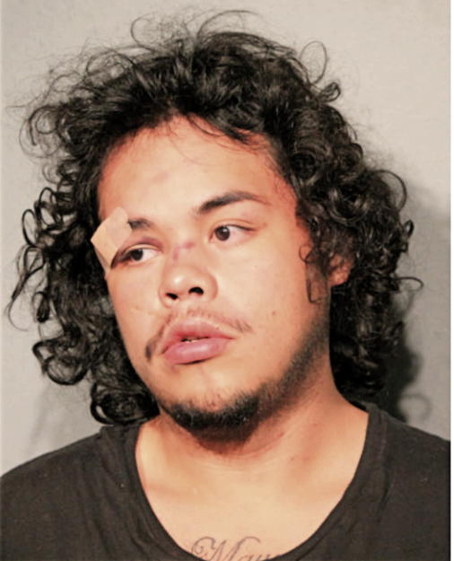 CARLOS E CRUZ, Cook County, Illinois