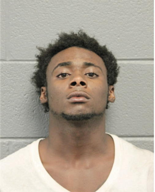 JESSE E DAVIS, Cook County, Illinois