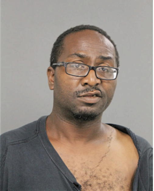 ALAIN M ELANGA-AWOUMOU, Cook County, Illinois