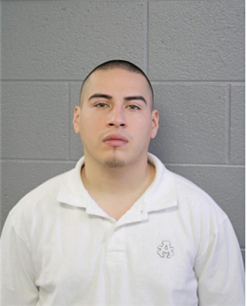 JULIAN FUENTES, Cook County, Illinois