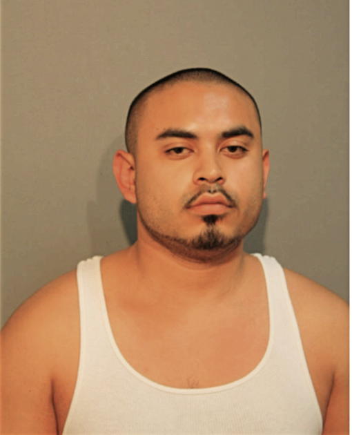 JOE R GONZALEZ, Cook County, Illinois